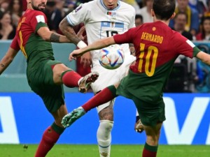 免费PP电游大福小福官方网址推荐与下载指南